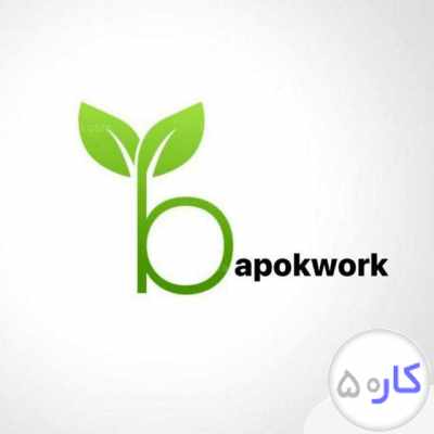 استخدام ادمین در شرکت باپوک 