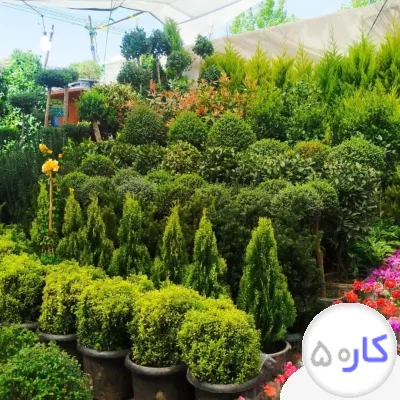 خدمات باغبانی درختکاری کودهی بیلزنی سمپاشی