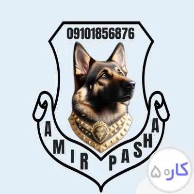 جذب نیروی تبلیغات و فروش حضوری
