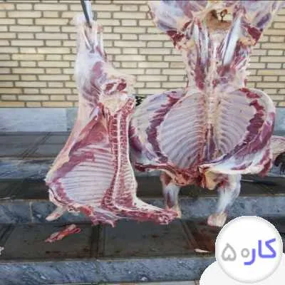 عکس آگهی
