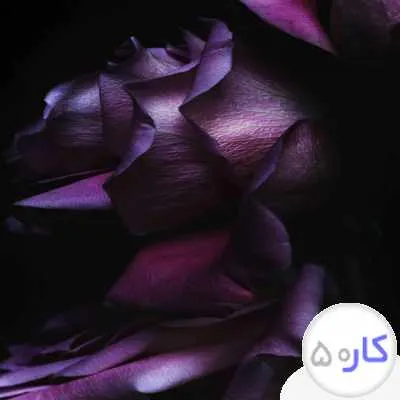 اوستا نماه سنگ و سرامیک