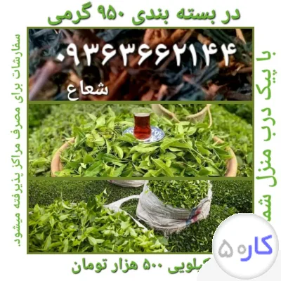 عکس آگهی فروش چای طبیعی لاهیجان