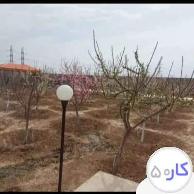 عکس آگهی نگهبان میشم سرایداری میشم
