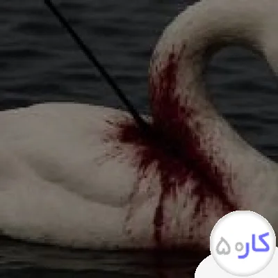 ساخت محتوا یا پشتیبانی در سایت