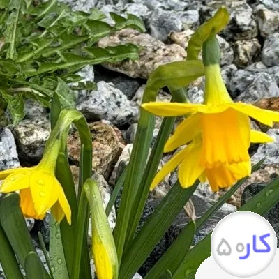 پرایوت بیمارستان هستم