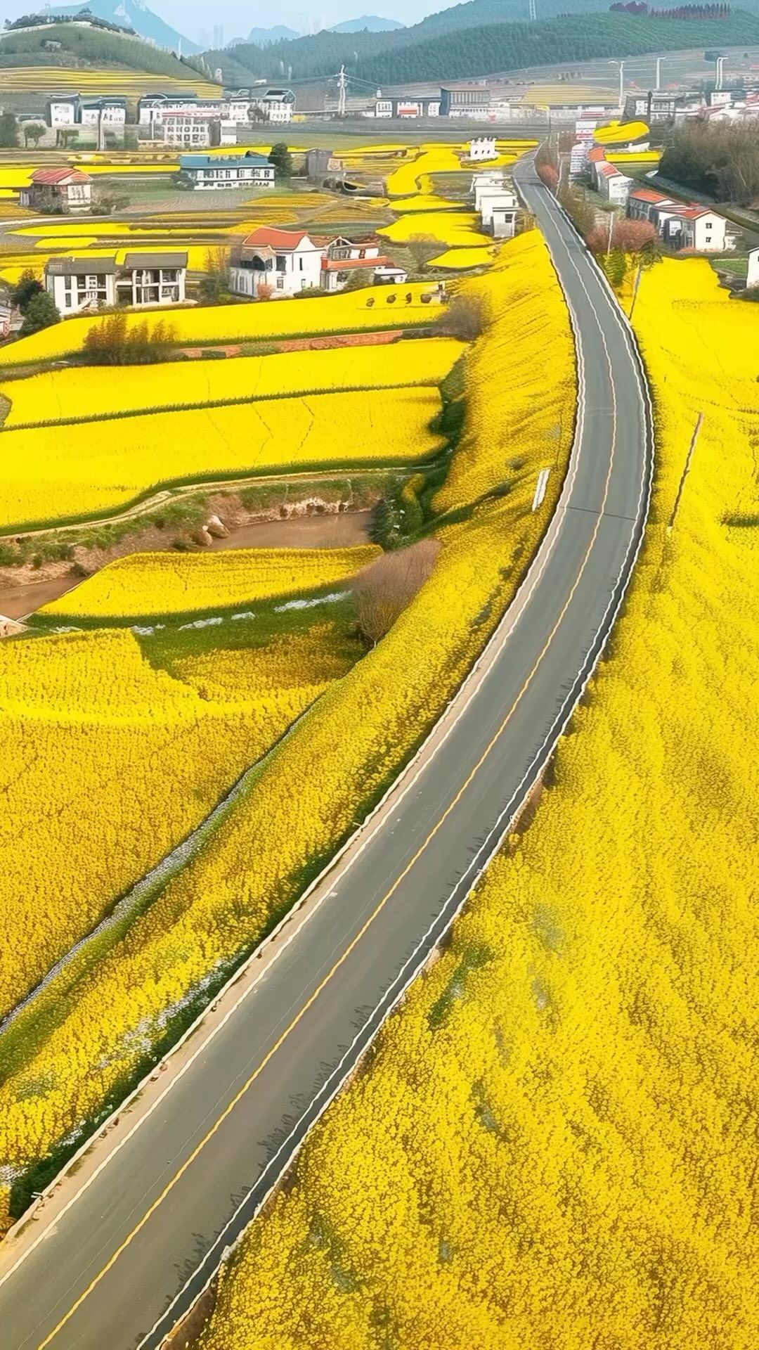 جادوی زیبایی