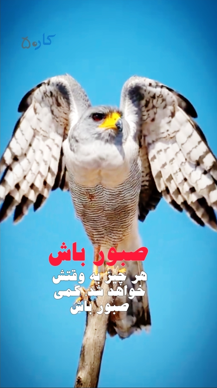 کلیپ انگیزشی: صبور باش
