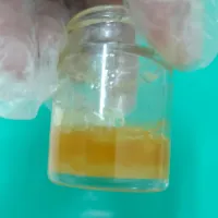 پروفایل سارا منتظری 