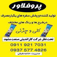 شرکت پروفلاور