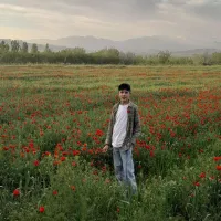 برق کار حرفه ای
