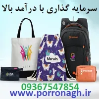 کیف دستگاه کارتخوان و کیف محافظ دستگاه پوز پررونق