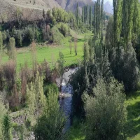 پروفایل تقی اوشیب نتاج - مدیر فروش سایت کالا نوین