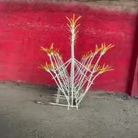 شاخ گوزنی پاسارگاد 