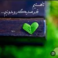 مجــــــــــــتـــبی