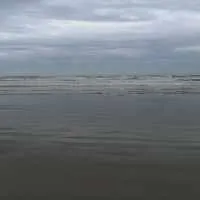 فاطمه صیدمحمدخانی 